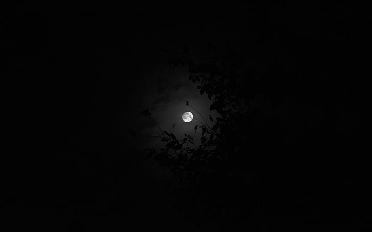 Луна, нощ, небе, HD тапет