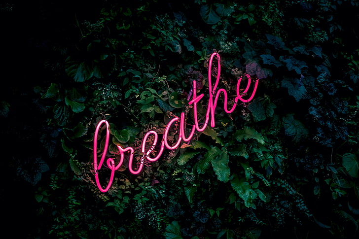 розовый светодиод, надпись, неон, дыхание, листва, HD обои