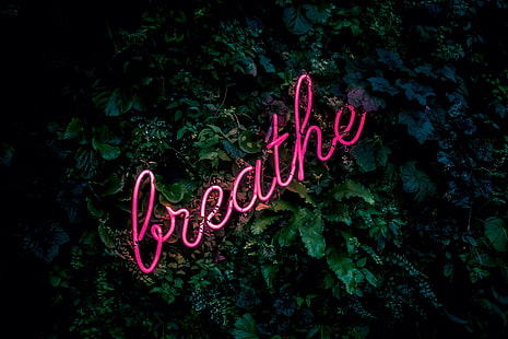 pink LED light, inscription, neon, breath, foliage, HD wallpaper HD wallpaper