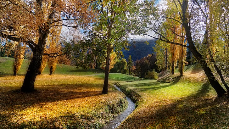 landscape, 4K, stream, field, trees, fall, Arrowtown, New Zealand, HD wallpaper