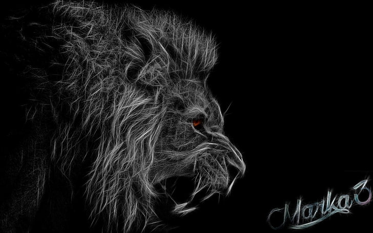 black and white lion artwork, lion, HD wallpaper