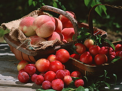 Lotto di albicocche rosse, pesche, prugne, frutta, bacche, fresco, cestino, Sfondo HD HD wallpaper