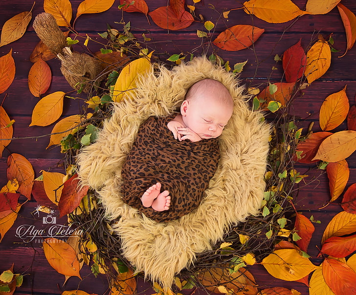 Bebê dormindo, folhas de outono, ninho de peles, bebê fofo, HD papel de parede