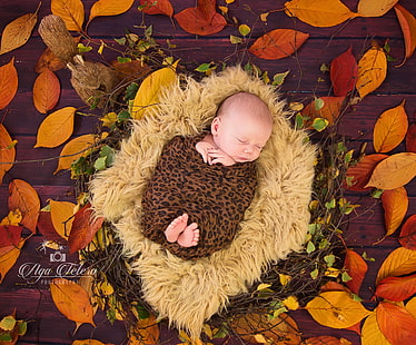 طفل نائم ، أوراق الخريف ، عش الفراء ، طفل لطيف، خلفية HD HD wallpaper
