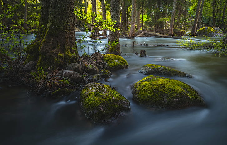 trees at river photo, Mossy, Rocks, trees, river, photo, nikon  d600, nikkor, 35mm, langinkoski, flow, sunset, forest, nature, waterfall, stream, tree, water, outdoors, scenics, HD wallpaper