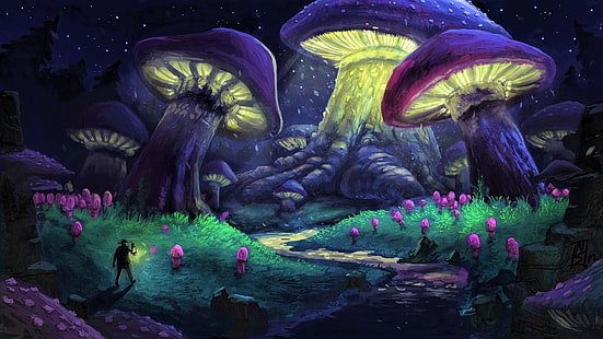 artistic, fantasy, forest, mushroom, night, purple, HD wallpaper HD wallpaper