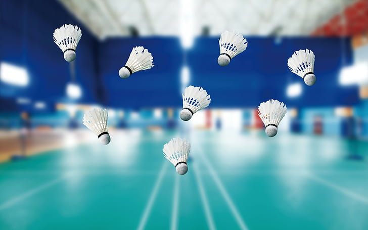 Badminton, vit badminton fjäderboll, sport, badminton, domstol, gym, fjäderboll, fjäderbollar, viktlöshet, omedelbar flygning, bra idé, bakgrund, oskärpa, bokeh,., HD tapet