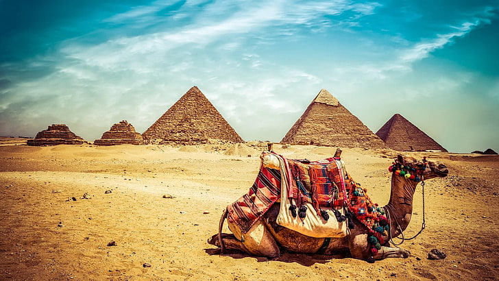 камила, небе, Египет, пирамида, паметник, Гиза, ваканция, облак, пясък, туризъм, пейзаж, Ал Харам, комплекс от пирамиди в Гиза, пустиня, HD тапет