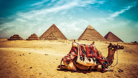 wielbłąd, niebo, Egipt, piramida, pomnik, Giza, wakacje, chmura, piasek, turystyka, krajobraz, al Haram, kompleks piramid w Gizie, pustynia, Tapety HD HD wallpaper