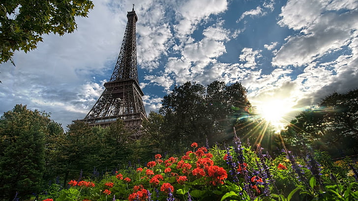 에펠, 에펠 탑, 탑, 태양, 구름, 하늘, 꽃, HD 배경 화면