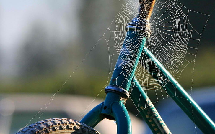 weißes Spinnennetz, Fahrrad, Rahmen, Rad, Netz, HD-Hintergrundbild