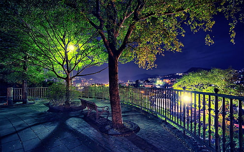 night view, trees, bench, HD wallpaper HD wallpaper