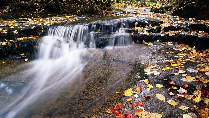 air terjun dikelilingi pepohonan, sungai, gunung, air, aliran, daun, musim gugur, Wallpaper HD