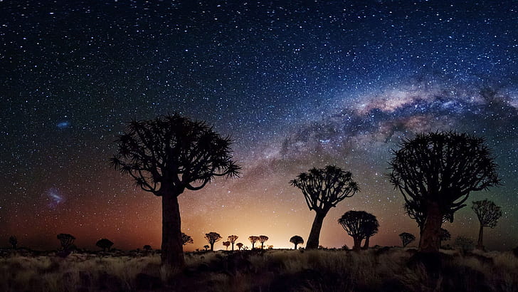Paysage de nuit La Voie lactée Arbres Zone désertique dans la nuit Parc national de Joshua Tree États-Unis Bureau Fond d'écran Hd 2560 × 1440, Fond d'écran HD
