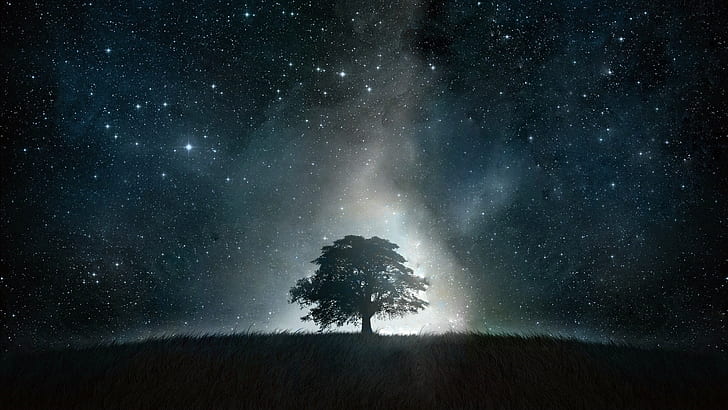 starlight, starry sky, night sky, tree, astronomy, lone t ree, field, midnight, stars, fantasy landscape, night, darkness, HD wallpaper