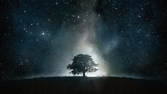 starlight, starry sky, night sky, tree, astronomy, lone t ree, field, midnight, stars, fantasy landscape, night, darkness, HD wallpaper HD wallpaper