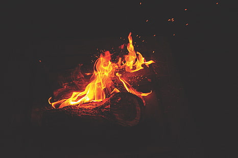 campfire, fire, log, HD wallpaper HD wallpaper