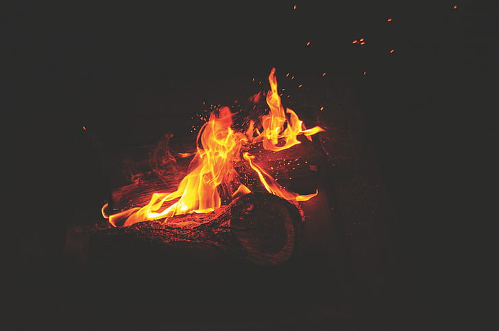 fire, campfire, log, HD wallpaper