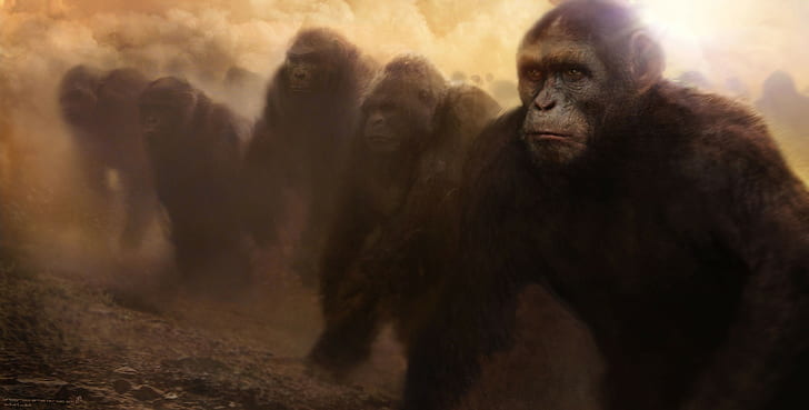 concept art planet of the apes rise of the planet of the apes 1, HD  wallpaper | Wallpaperbetter