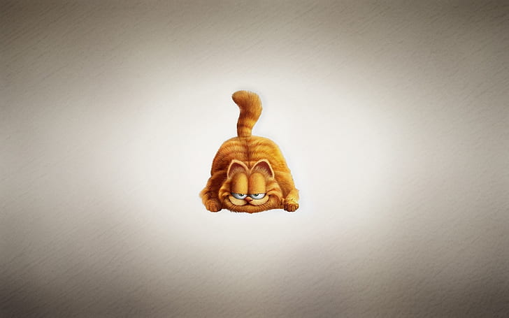 Garfield The Cat, garfield, gato, desenho animado, HD papel de parede