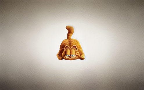 Garfield el gato, garfield, gato, dibujos animados, Fondo de pantalla HD HD wallpaper
