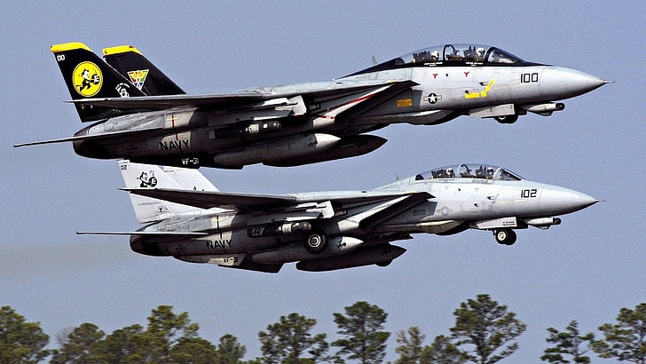 pesawat terbang, f 14, pesawat tempur, jet, militer, angkatan laut, kucing jantan, Wallpaper HD