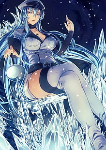 Akame Ga Kill!, Esdeath, วอลล์เปเปอร์ HD HD wallpaper