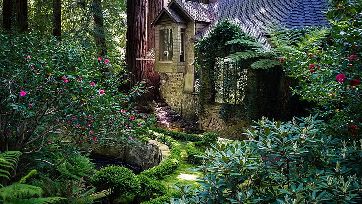 кабина, гора, дърво, вила, къща, градина, невероятно, начин на живот, HD тапет