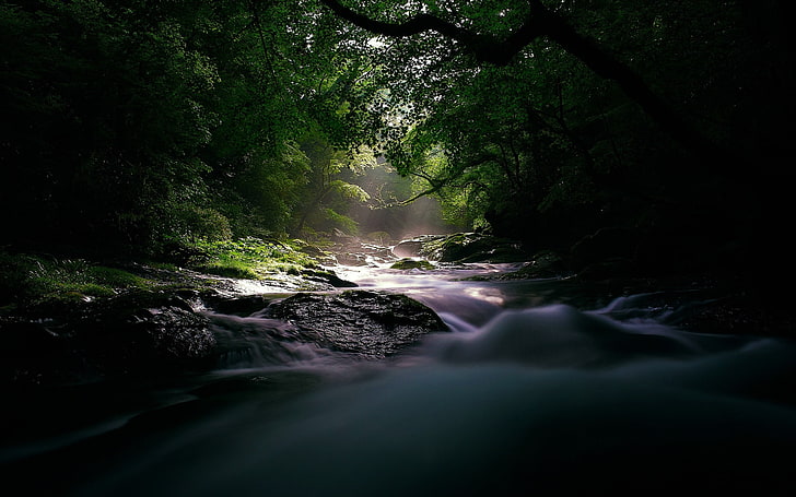 Rivières forestières lumière du soleil-Fonds d'écran Windows 10 HD, Fond d'écran HD