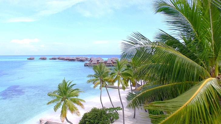 пальма, Филиппины, белый песок, песок, антенна, залив, туризм, пляж, океан, надводный, аэрофотосъемка, вода, отпуск, небо, остров Боракай, пальма, море, карибский бассейн, курорт, тропики, HD обои