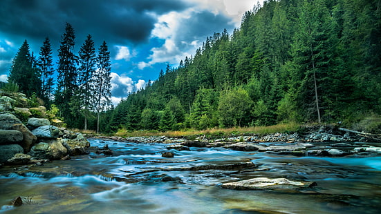 ธรรมชาติแม่น้ำน้ำสตรีมถิ่นทุรกันดารป่าสนสนพืชเมฆต้นไม้ครีภูเขาท้องฟ้าหิน, วอลล์เปเปอร์ HD HD wallpaper