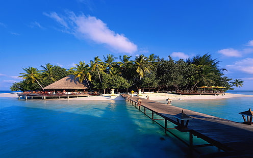 몰디브 섬 바닷가 교량 집 나무 하늘 바다 2560 × 1600, HD 배경 화면 HD wallpaper