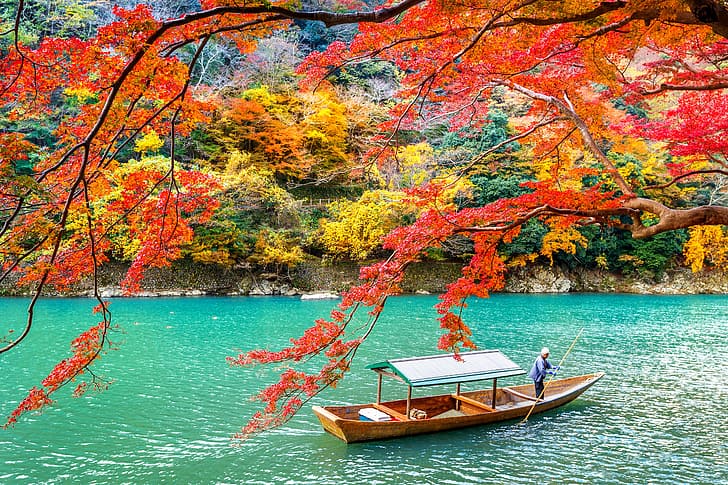 autumn, leaves, trees, Park, Japan, Kyoto, nature, lake, tree, Arashiyama, HD wallpaper