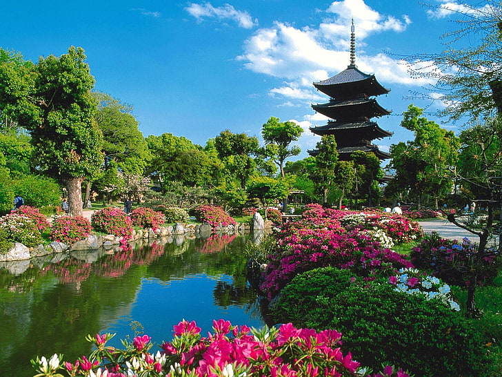 pink flowers, pond, trees, pagoda, Toji Temple, HD wallpaper
