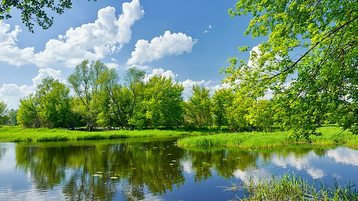 reflection, water, nature, waterway, sky, spring, tree, wetland, river, HD wallpaper