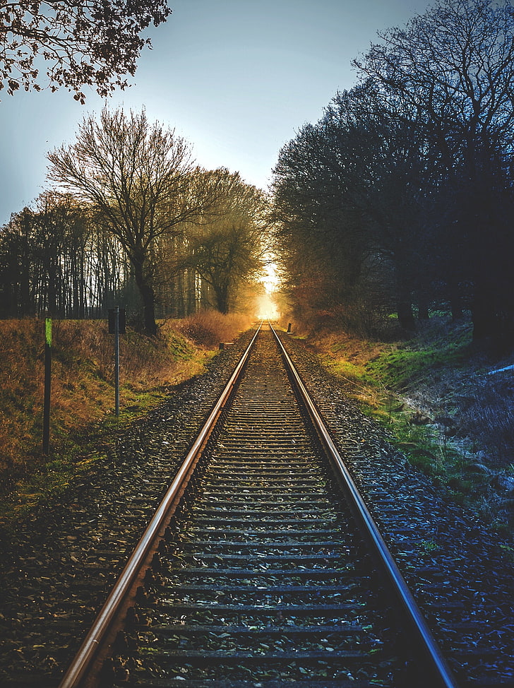 brown metal train rails, railway, trees, sunset, HD wallpaper