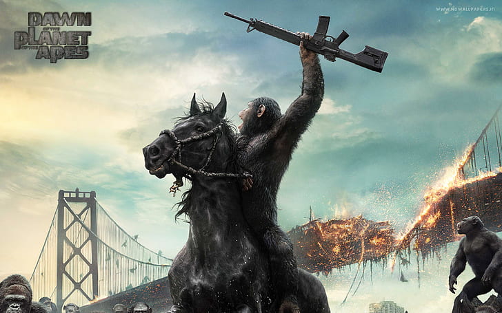 Dawn of the Planet of the Apes Movie, dawn of the planet apes poster, movie, planet, dawn, apes, HD wallpaper