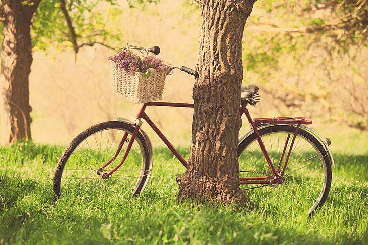 bicicleta da cidade vermelha, verdes, grama, folhas, árvores, flores, natureza, bicicleta, plano de fundo, árvore, papel de parede, cesta, humor, roda, roxo, widescreen, tela cheia, papéis de parede em HD, HD papel de parede