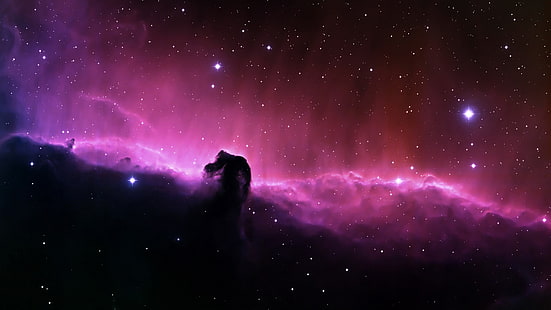 carta da parati galassia rosa e nera, spazio, Nebulosa Testa di cavallo, arte spaziale, nebulosa, stelle, arte digitale colorata, Sfondo HD HD wallpaper