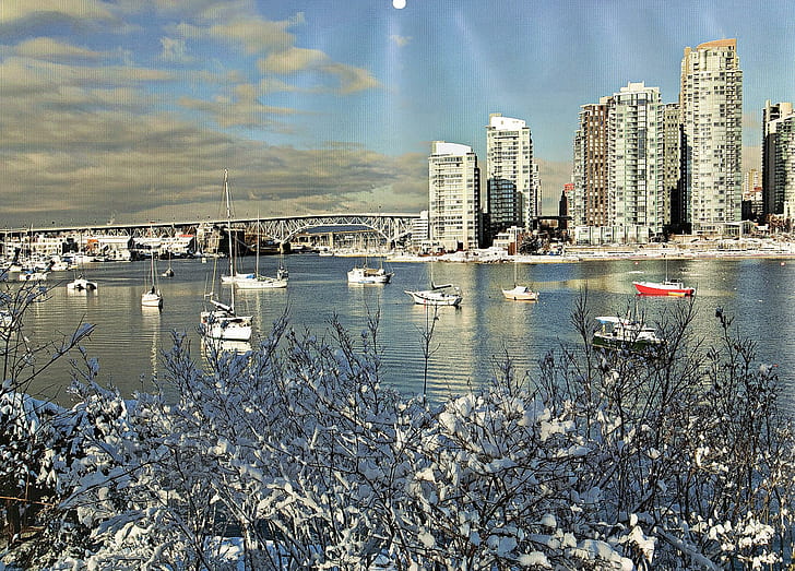 밴쿠버 장면 01, 하얀 스피드 보트 많은, 장면, 도시, 밴쿠버, 거리, 꽃, 동물, HD 배경 화면