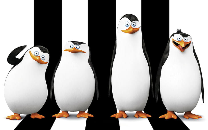 Pinguini del Madagascar, pinguini, Madagascar, Sfondo HD
