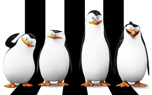 Pingouins de Madagascar, pingouins, madagascar, Fond d'écran HD HD wallpaper
