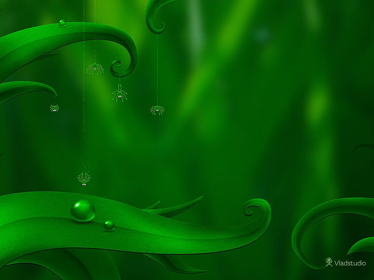 Vladstudio, Blätter, Wassertropfen, Spinne, grüner Hintergrund, HD-Hintergrundbild