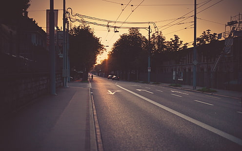 grå betongväg, posta på grå väg under gyllene timmarna, väg, stadsbild, fotografi, urban, stad, gata, solnedgång, träd, solljus, HD tapet HD wallpaper