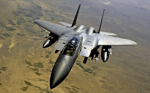 сив самолет, McDonnell Douglas F-15E Strike Eagle, F-15 Eagle, самолет, военен самолет, военен, самолет, HD тапет HD wallpaper