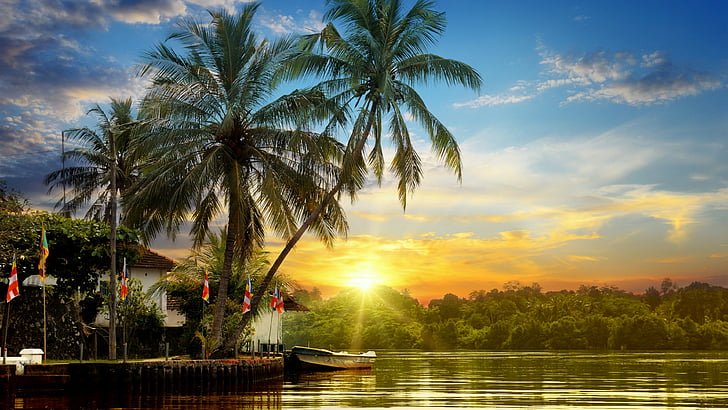 palmier, ciel, nature, eau, été, coucher de soleil de l'été, arbre, été, plante ligneuse, tropiques, soir, coucher de soleil, lac, Fond d'écran HD