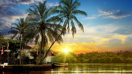 palmiye ağacı, gökyüzü, doğa, su, yaz aylarında, yaz gün batımı, ağaç, yaz, odunsu bitki, tropik, akşam, gün batımı, göl, HD masaüstü duvar kağıdı HD wallpaper