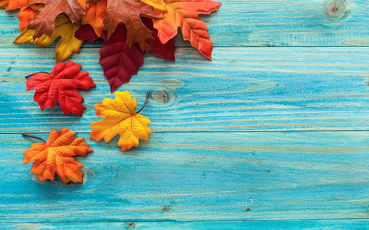 Blätter, Herbst, Holzoberfläche, HD-Hintergrundbild