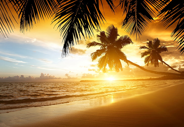 deux palmiers, sable, mer, plage, coucher de soleil, tropiques, palmiers, rive, été, océan, côte, paradis, tropical, Fond d'écran HD