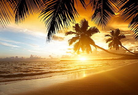 dua pohon palem, pasir, laut, pantai, matahari terbenam, tropis, pohon palem, pantai, musim panas, samudra, pantai, firdaus, tropis, palem, Wallpaper HD HD wallpaper